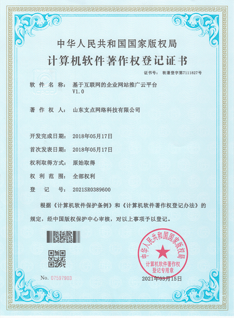 互联网企业网站推广云平台